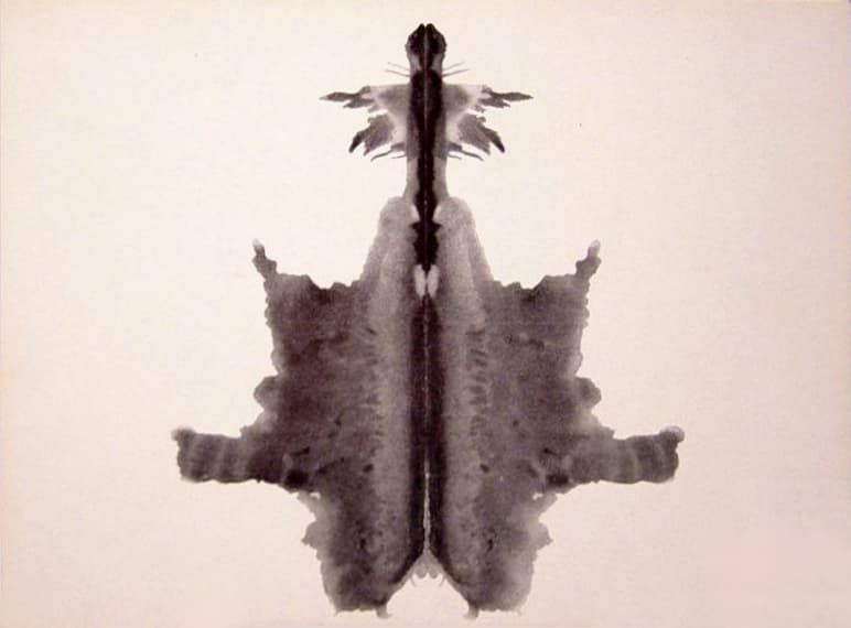Plate 6